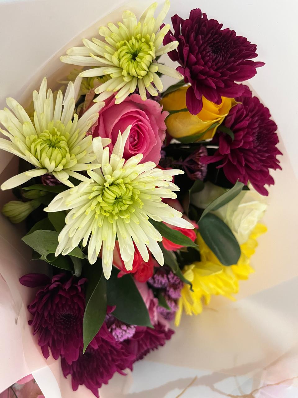 Bright seasonal flower close-up